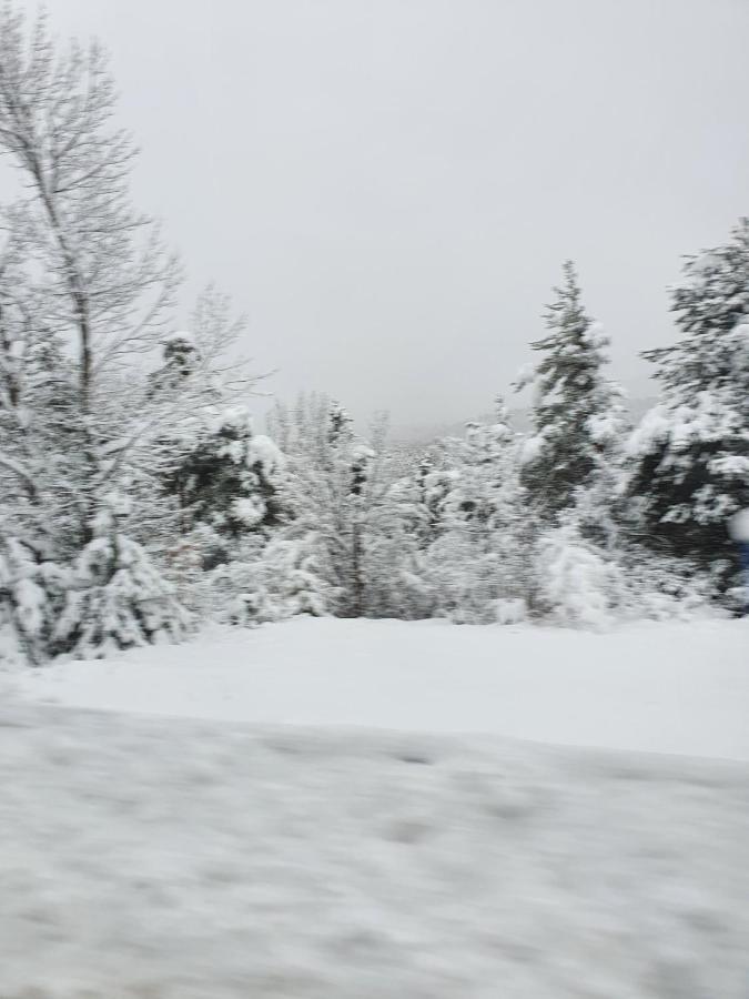 Coeur D'Altair Risoul 1850 Appartement T2 Confortable Skis Aux Pieds A 300 M Centre المظهر الخارجي الصورة