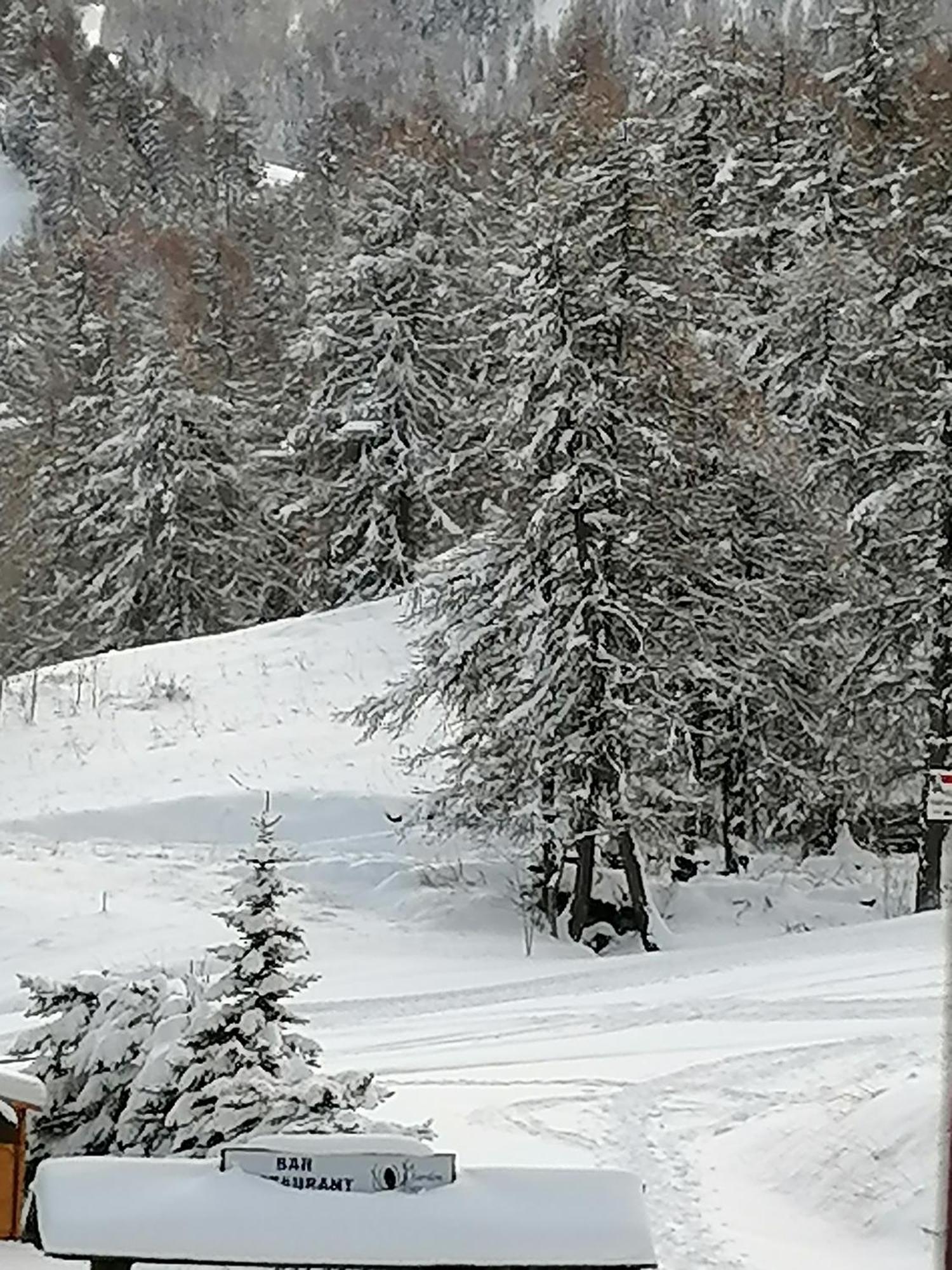 Coeur D'Altair Risoul 1850 Appartement T2 Confortable Skis Aux Pieds A 300 M Centre المظهر الخارجي الصورة